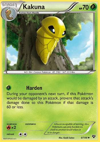 Kakuna 4 — XY