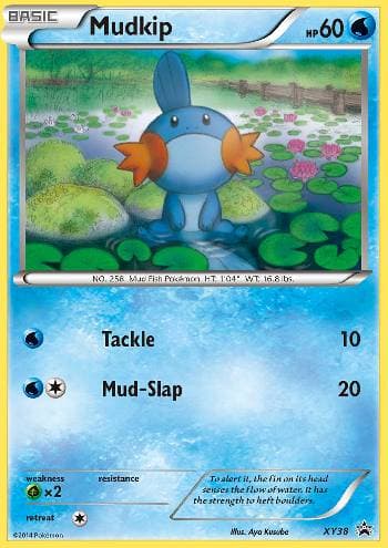 Carta Mudkip do set XY Promos — Pokémon TCG | Bynx