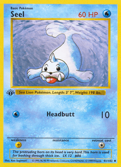 Seel 41 — Base