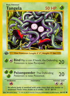 Tangela 66 — Base