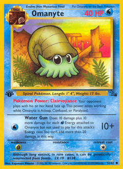 Omanyte 52/62 — Fóssil