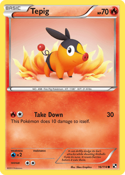 Tepig 16/114 — Black & White