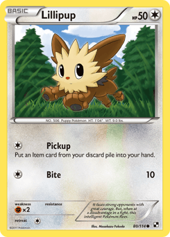 Lillipup 80 — Black & White