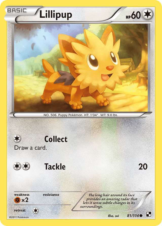 Carta Lillipup 81/114 do set Black & White — Pokémon TCG | Bynx