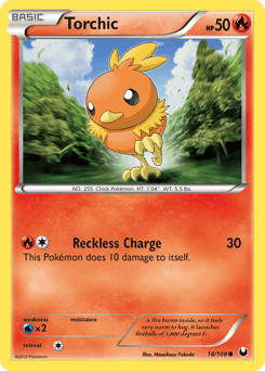 Torchic 14 — Dark Explorers