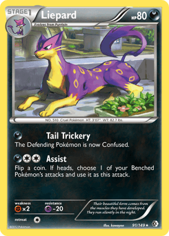 Liepard 91 — Boundaries Crossed