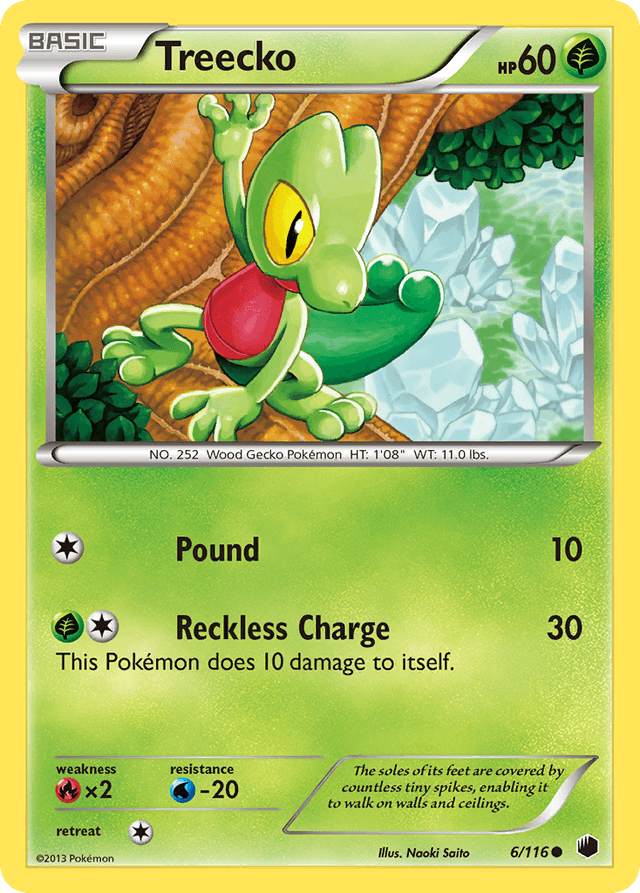 Carta Treecko 6/116 do set Plasma Freeze — Pokémon TCG | Bynx