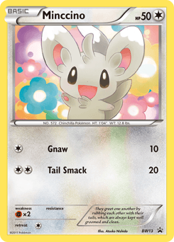 Minccino BW13 — BW Black Star Promos