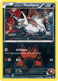 Team Magma's Poochyena 17 — Double Crisis