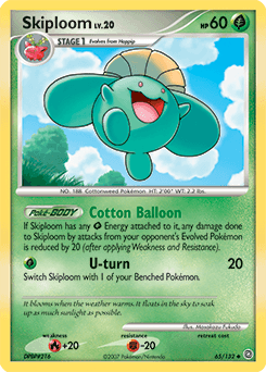Skiploom 65 — Secret Wonders