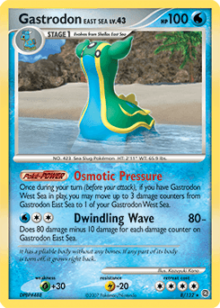 Gastrodon East Sea 8 — Secret Wonders