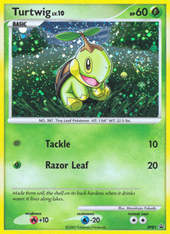 Turtwig DP01/56 — DP Black Star Promos