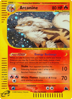 Arcanine H2 — Skyridge