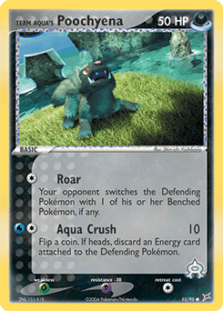 Team Aqua's Poochyena 55 — Team Magma vs Team Aqua