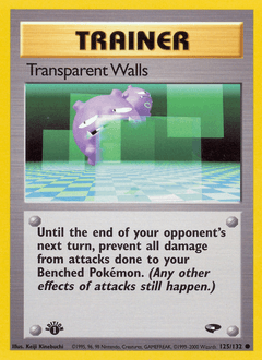 Transparent Walls 125/132 — Gym Challenge
