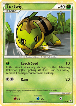 Turtwig 67/95 — Revelado