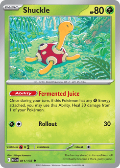Shuckle 11/132 — Megaevolução