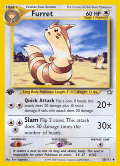 Furret 35 — Neo Genesis