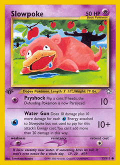Slowpoke 73 — Neo Genesis