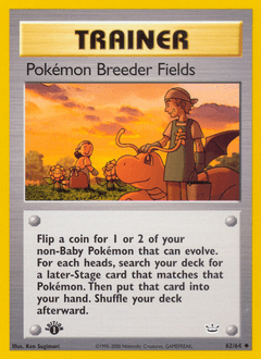 Pokémon Breeder Fields 62/64 — Neo Revelation
