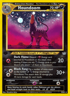 Houndoom 8 — Neo Revelation