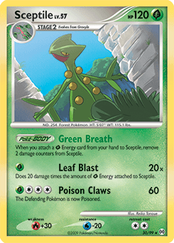 Sceptile 30 — Arceus