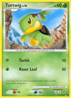 Turtwig 17/17 — POP Series 8
