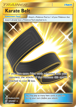 Karate Belt 252/236 — Sintonia Mental