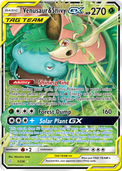 Venusaur & Snivy-GX 1 — Cosmic Eclipse