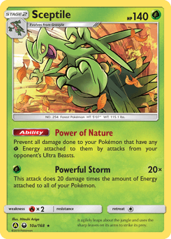 Sceptile 10a — Celestial Storm