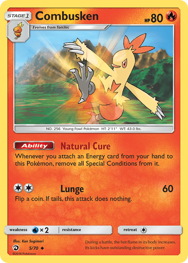 Carta Combusken 5/70 do set Dragon Majesty — Pokémon TCG | Bynx
