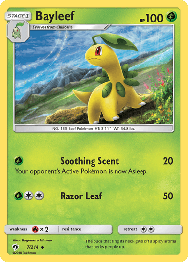 Carta Bayleef 7/214 do set Lost Thunder — Pokémon TCG | Bynx