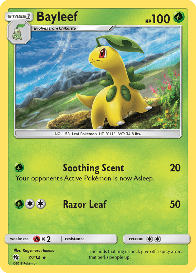 Carta Bayleef 7/214 do set Lost Thunder — Pokémon TCG | Bynx