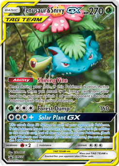 Venusaur & Snivy-GX SM229 — SM Black Star Promos