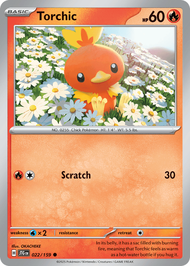 Carta Torchic 22/159 do set Journey Together — Pokémon TCG | Bynx
