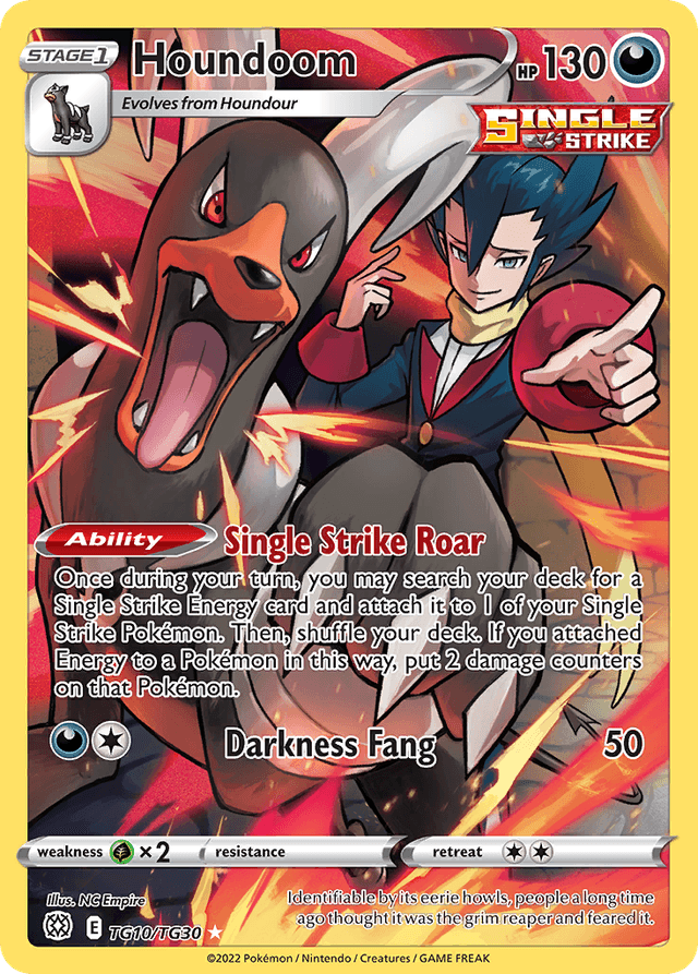 Carta Houndoom TG10/30 do set Brilliant Stars Trainer Gallery — Pokémon TCG | Bynx