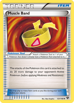 Muscle Band 121/146 — XY