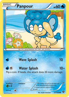 Panpour 37/146 — XY