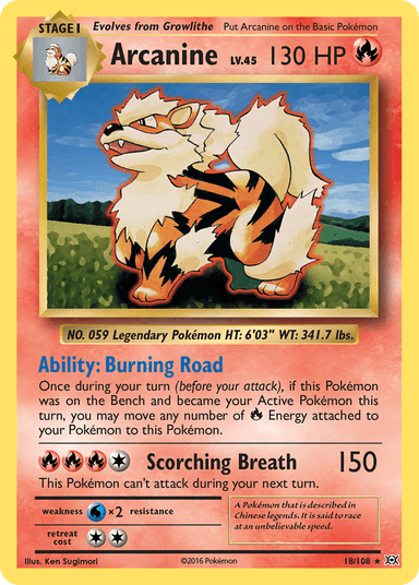 Carta Arcanine 18/108 do set Evolutions — Pokémon TCG | Bynx