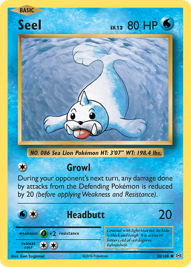 Carta Seel 28/108 do set Evolutions — Pokémon TCG | Bynx