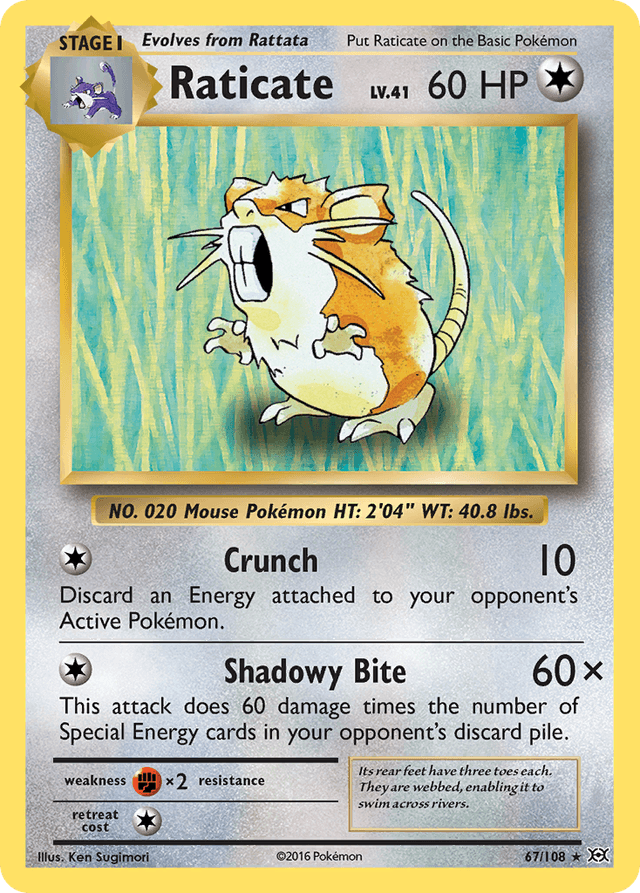 Carta Raticate 67/108 do set Evolutions — Pokémon TCG | Bynx