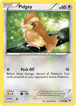 Pidgey 75 — Flashfire