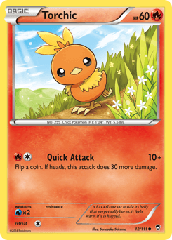 Torchic 12 — Furious Fists