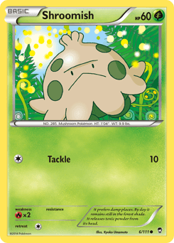 Shroomish 6 — Furious Fists