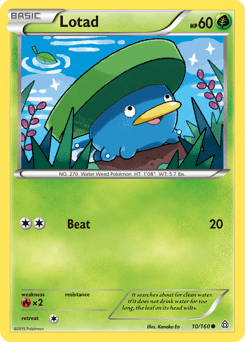 Lotad 10 — Primal Clash