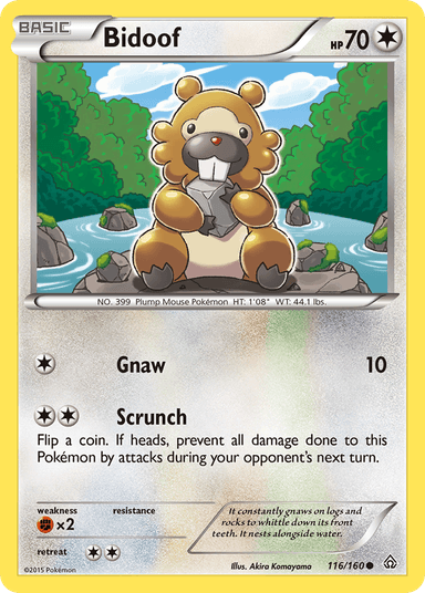 Carta Bidoof 116/160 do set Primal Clash — Pokémon TCG | Bynx