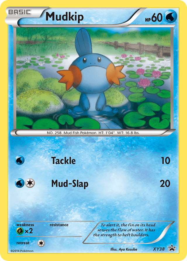 Carta Mudkip XY38/211 do set XY Black Star Promos — Pokémon TCG | Bynx