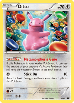 Ditto XY40 — XY Black Star Promos