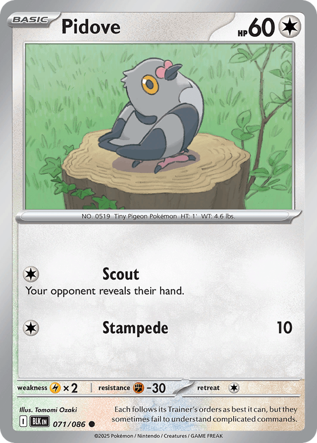 Carta Pidove 71/86 do set Black Bolt — Pokémon TCG | Bynx