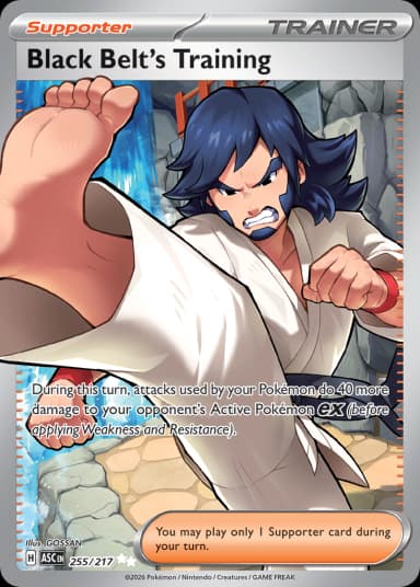 Carta Black Belt's Training 255/217 do set Ascended Heroes — Pokémon TCG | Bynx